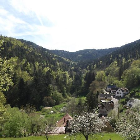 Studio A Murbach Au Calme Buitenkant foto