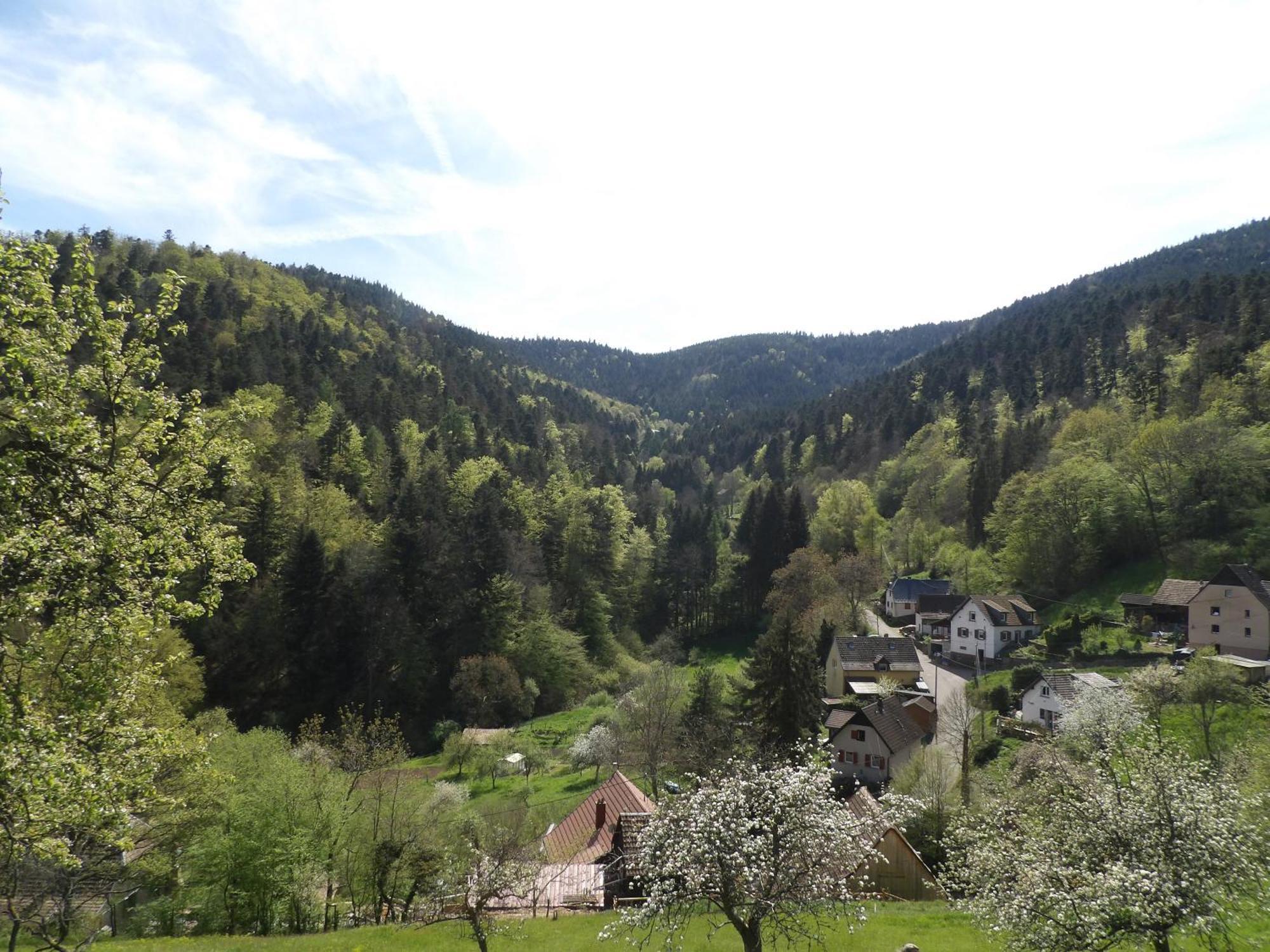 Studio A Murbach Au Calme Buitenkant foto