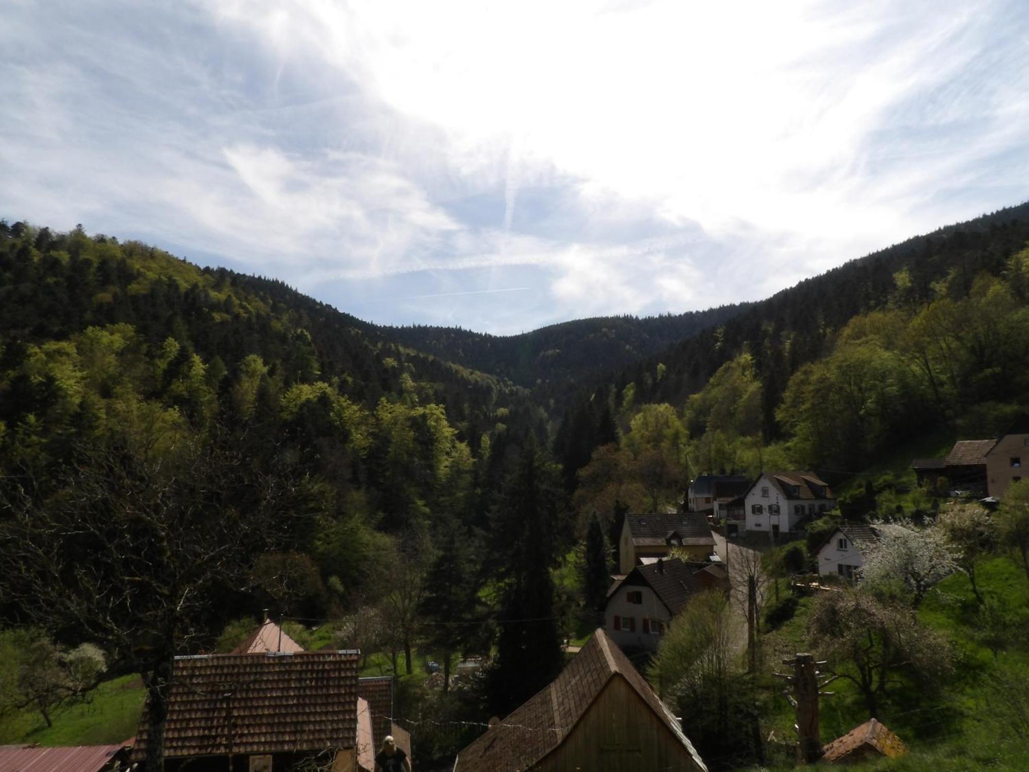Studio A Murbach Au Calme Buitenkant foto
